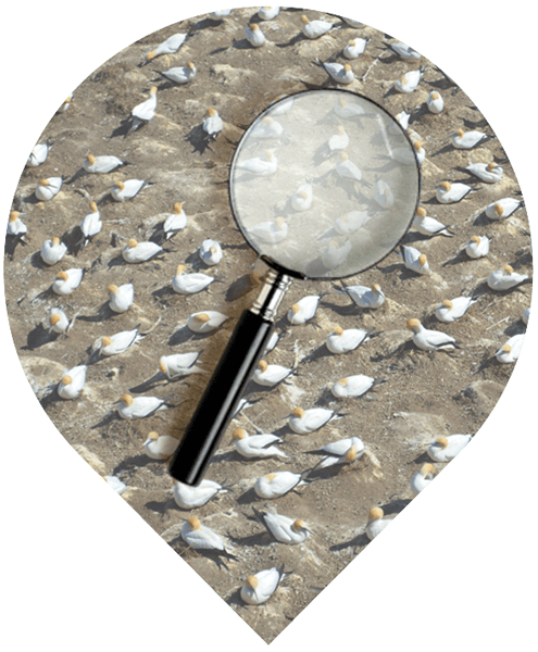 Choosing OTAs for your property